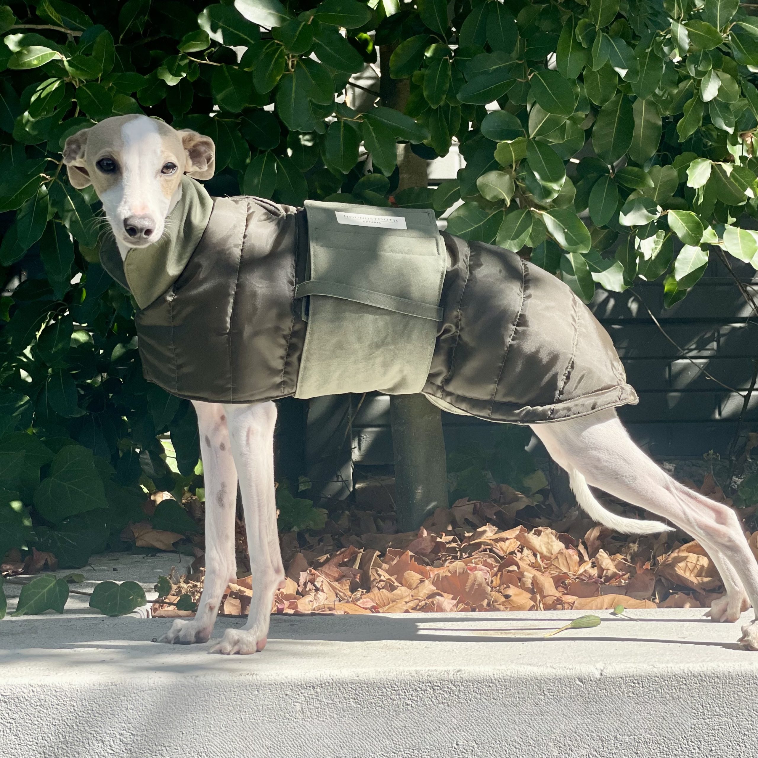 Tailored Reversible Broad Belt Puffer Coat - Sage - GREYHOUND - Image 2