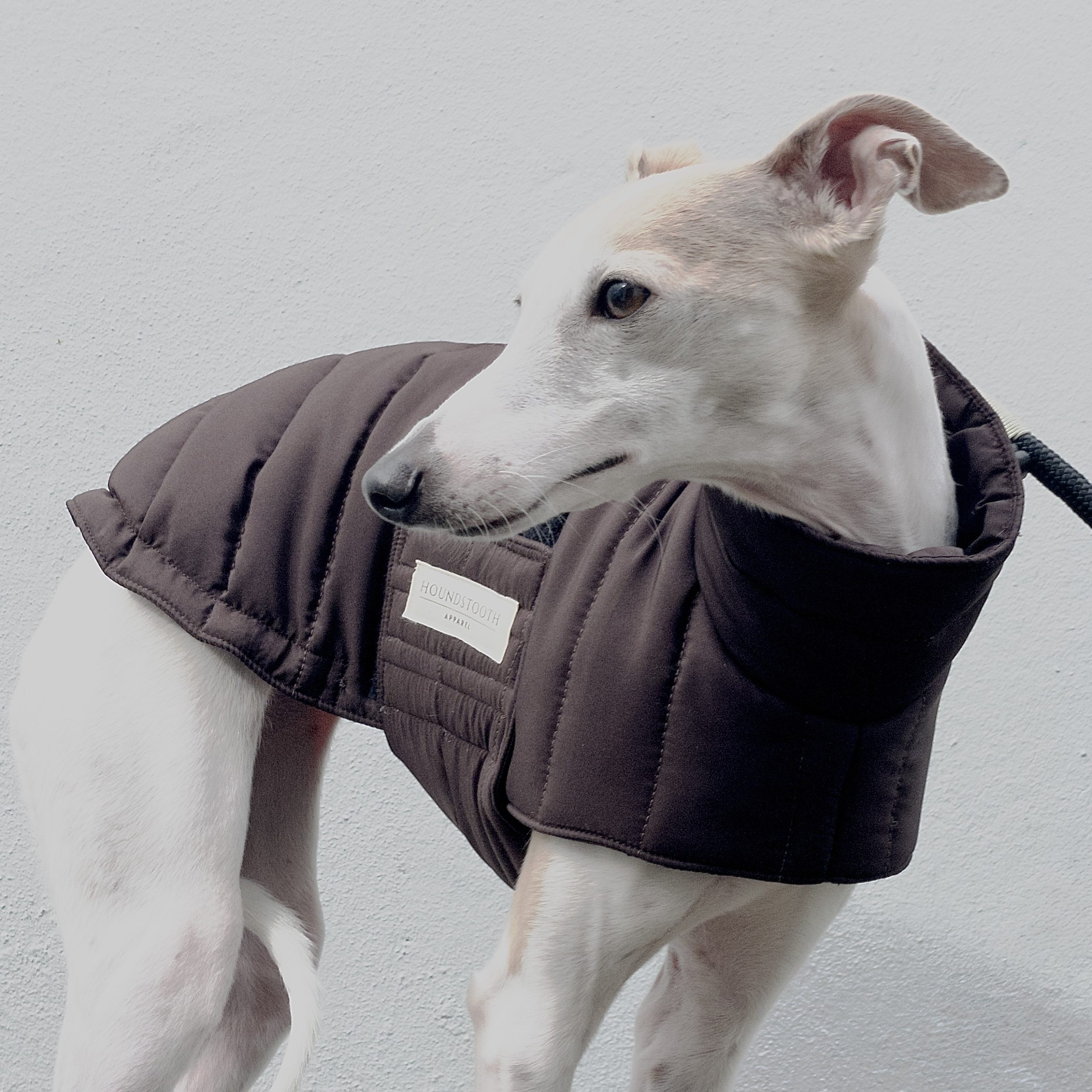 Water Resistant Broad Belt Puffer Coat - Chocolate- GREYHOUND