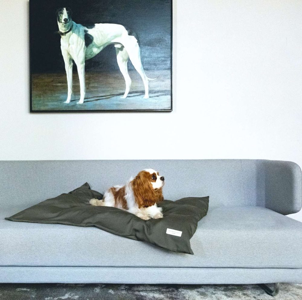 Luxury Pet Duvet Cover - Sage